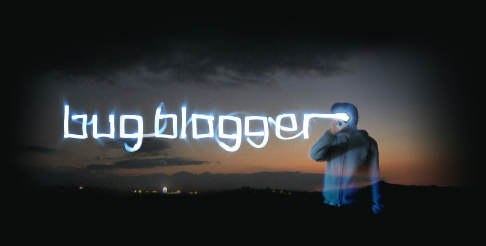 header for bugblogger.com